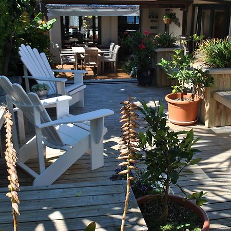 Terry And Cindy'S Bed And Breakfast Auckland Ngoại thất bức ảnh